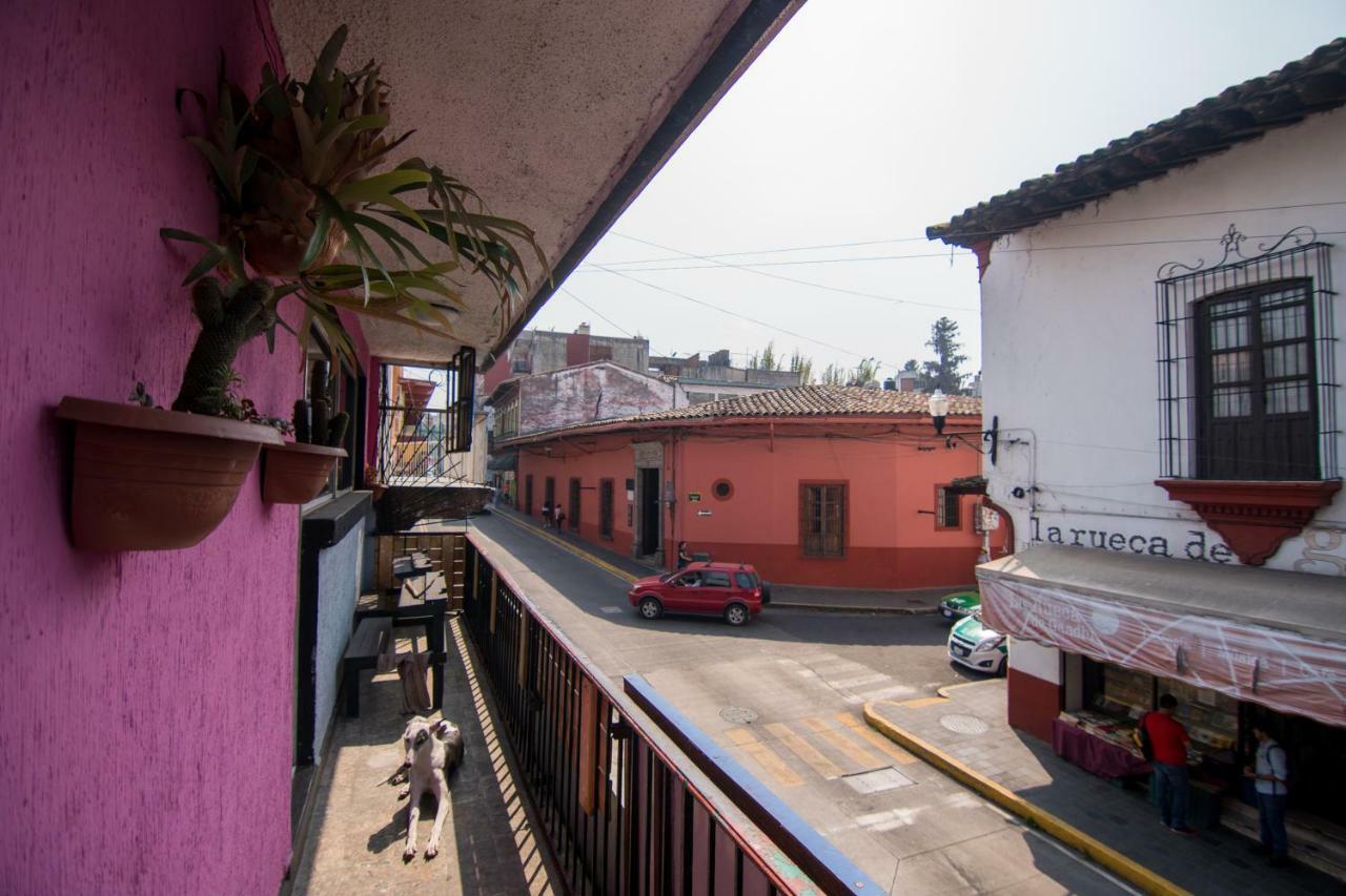 Hostal 50 Ксалапа Екстериор снимка